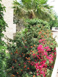 Haifa Upper City